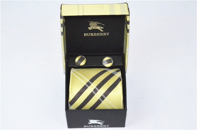 Burberry Ties 37